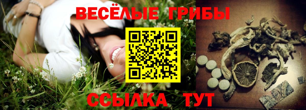 Псилоцибиновые грибы MAGIC MUSHROOMS  дарнет шоп  Вход с VPN  Каменка  Галлюциногенные грибы GOLDEN TEACHER 